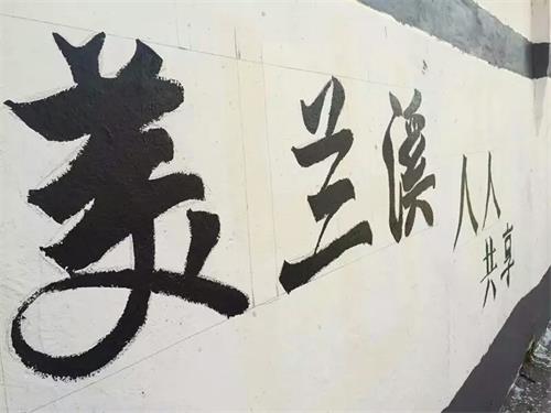 我院学生兰溪墙绘一日行,用行动致敬雷锋