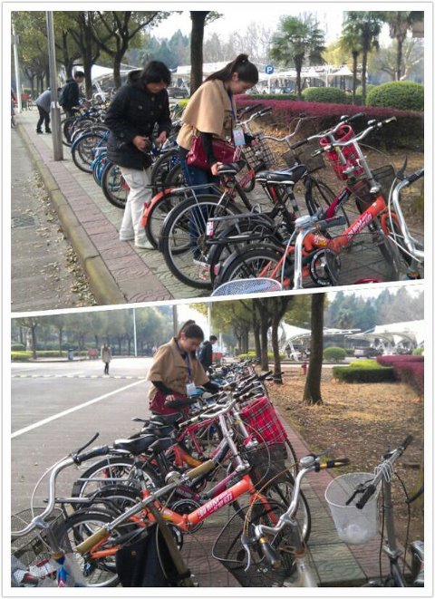 “万绿丛中一片红”  动人春色在微行