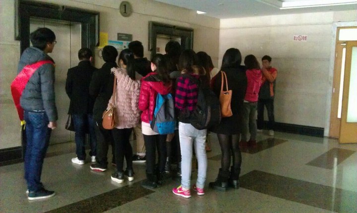 “万绿丛中一片红”  动人春色在微行